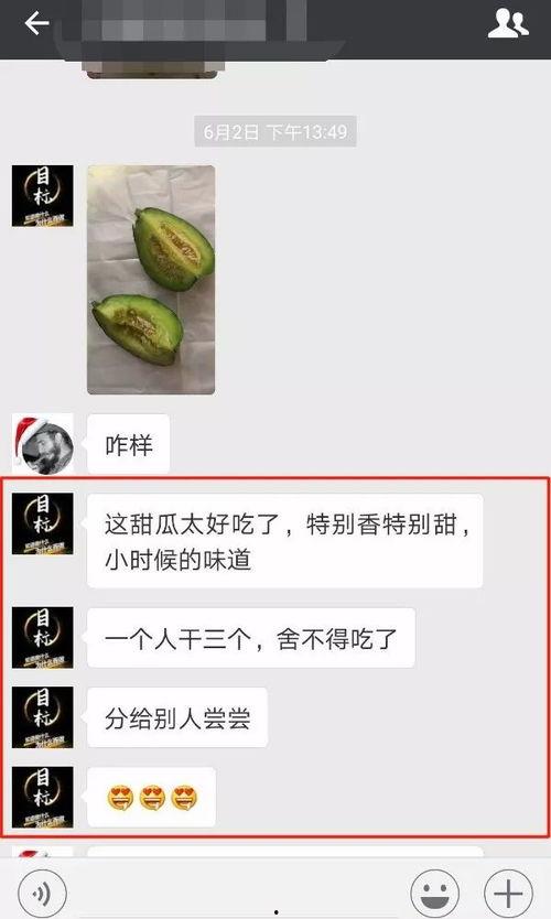暗区吃瓜料每日爆料,揭秘娱乐圈最新爆料风云